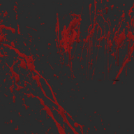 Blood