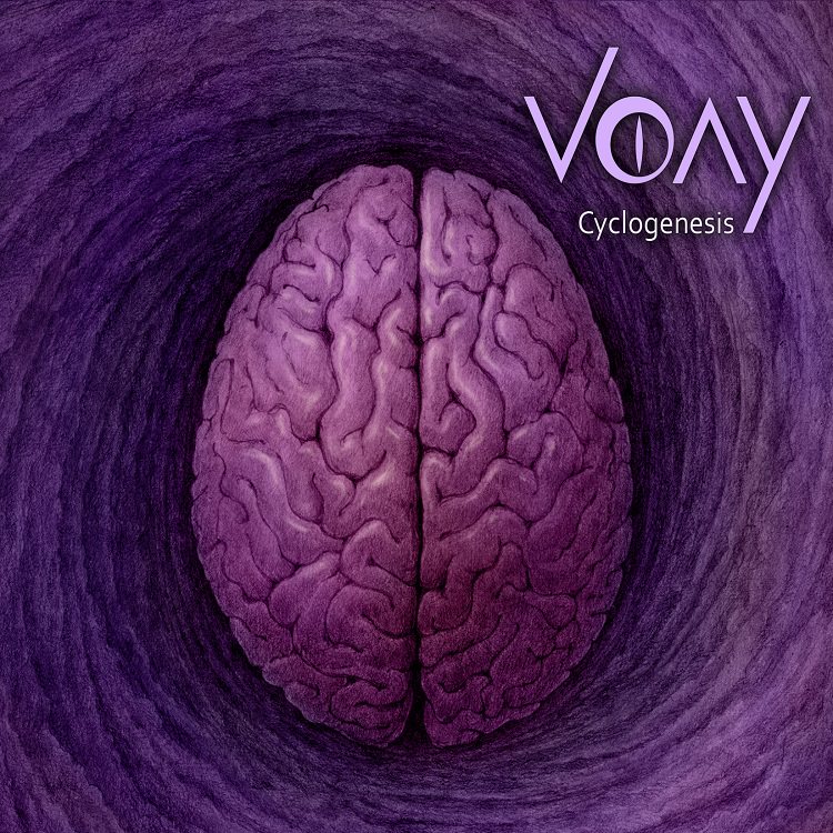 Voay-Cyclogenesis.jpg