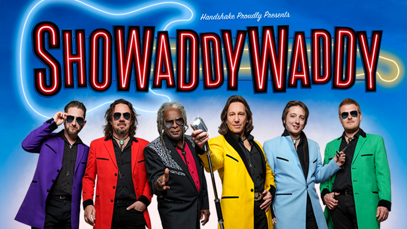 Showaddywaddy.png