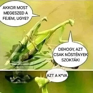 poen_b5.jpg