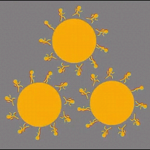 optic2.gif