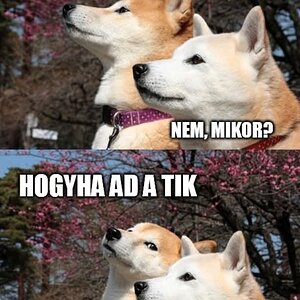 FB_IMG_1734455146059.jpg