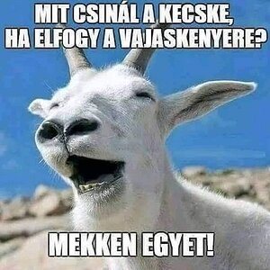 FB_IMG_1734445812938.jpg