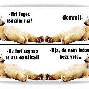 FB_IMG_1733768950121.jpg