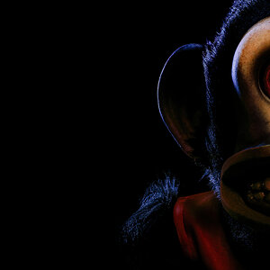 the-monkey